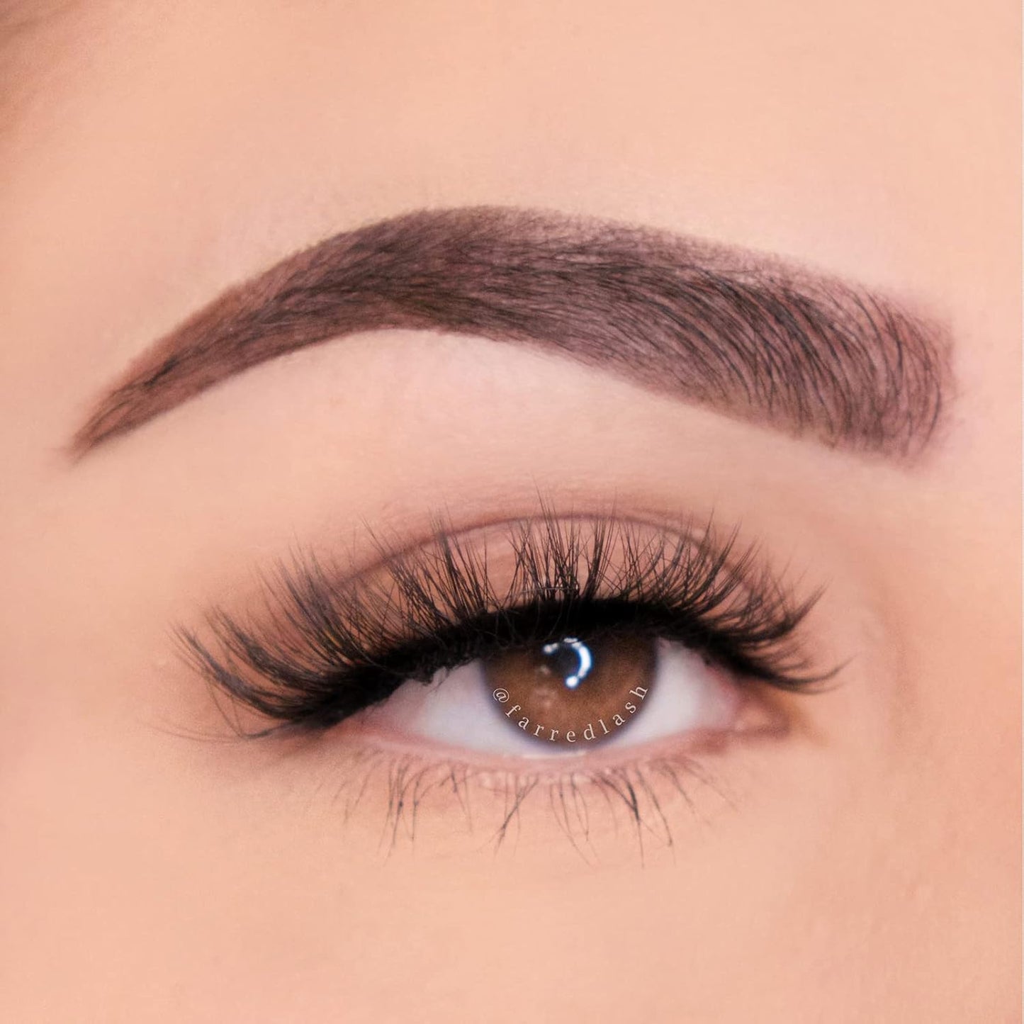 FARRED Cat Eye Lashes False Eyelashes Natural Look 10 Pairs 9‑15 mm