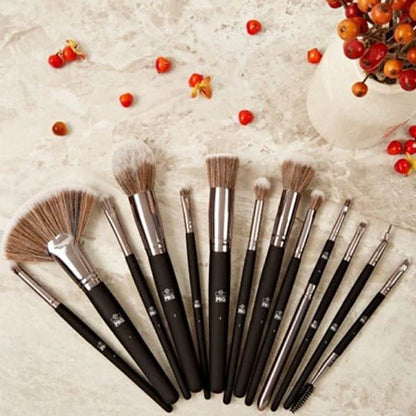 BH Studio Pro 13‑Piece Brush Set