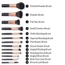 BH Signature Rose Gold 13 Piece Brush Set with Holder (black)