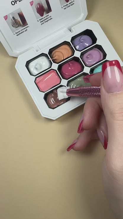 Gradient Ombre Nail Gel Kit Each.